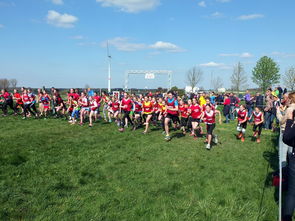 华体会app注册-中国篮球青少年篮球发展与体育政策关系研究，中国青少年篮球发展现状